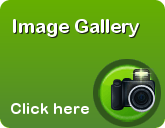 Image Gallery